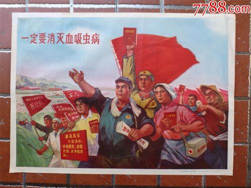 房地产经纪人证模板/图片